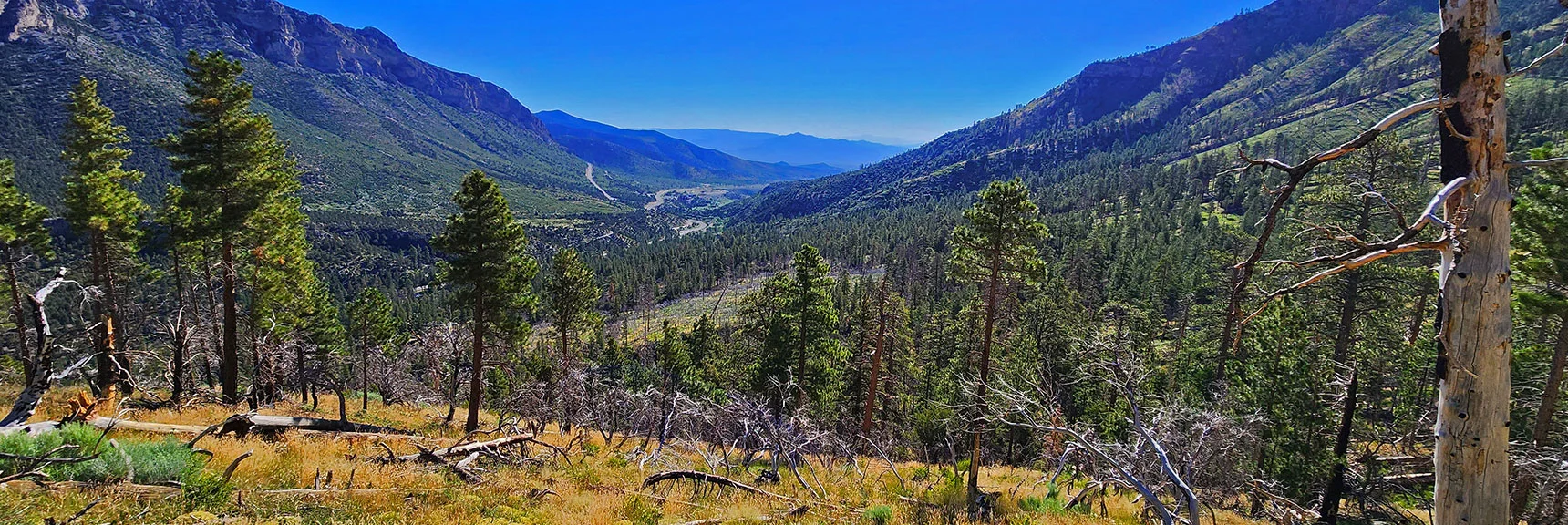 More Expansive Views Down Kyle Canyon Through Ponderosa Pine Forest on Ridge | Fletcher Canyon to Harris Mountain Summit | Mt Charleston Wilderness, Nevada