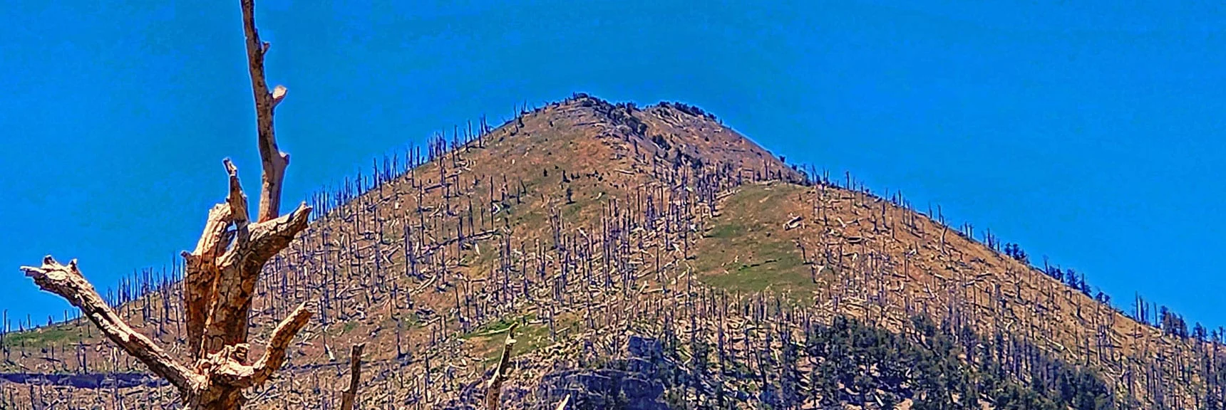 Zoom in on Griffith Peak. Rare Views of North Side. | Fletcher Canyon to Harris Mountain Summit | Mt Charleston Wilderness, Nevada