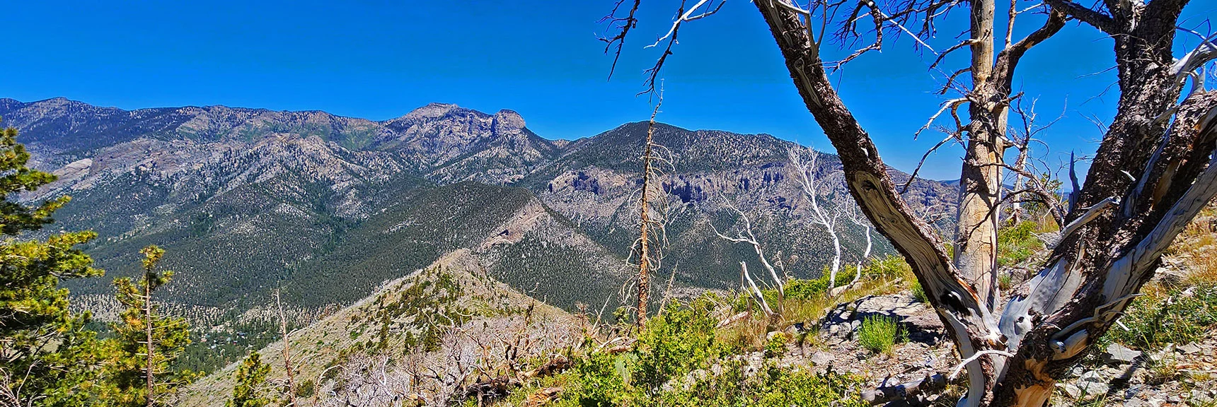 Kyle Canyon North Rim, Mummy Mt., Fletcher Peak. View Down Western Approach Ridge. | Fletcher Canyon to Harris Mountain Summit | Mt Charleston Wilderness, Nevada