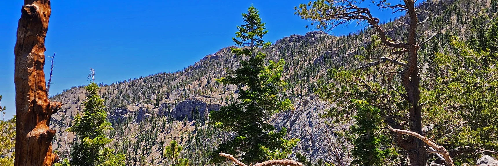 Upper Eastern Approach Ridge. Note Barrier Ledge Below on Fletcher View Ridge. | Fletcher Canyon to Harris Mountain Summit | Mt Charleston Wilderness, Nevada