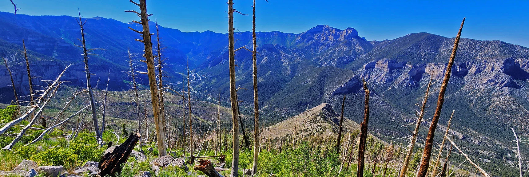 Beginning Descent, Will Go for More Gradual Ridge Just West. | Fletcher Canyon to Harris Mountain Summit | Mt Charleston Wilderness, Nevada