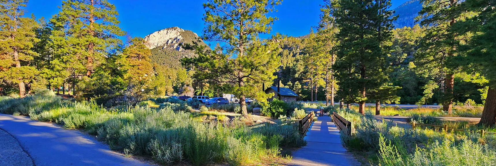Cross Bridge Behind Fletcher Canyon Trailhead, Head Up Acastus Trail (right turn). | Fletcher Canyon to Harris Mountain Summit | Mt Charleston Wilderness, Nevada
