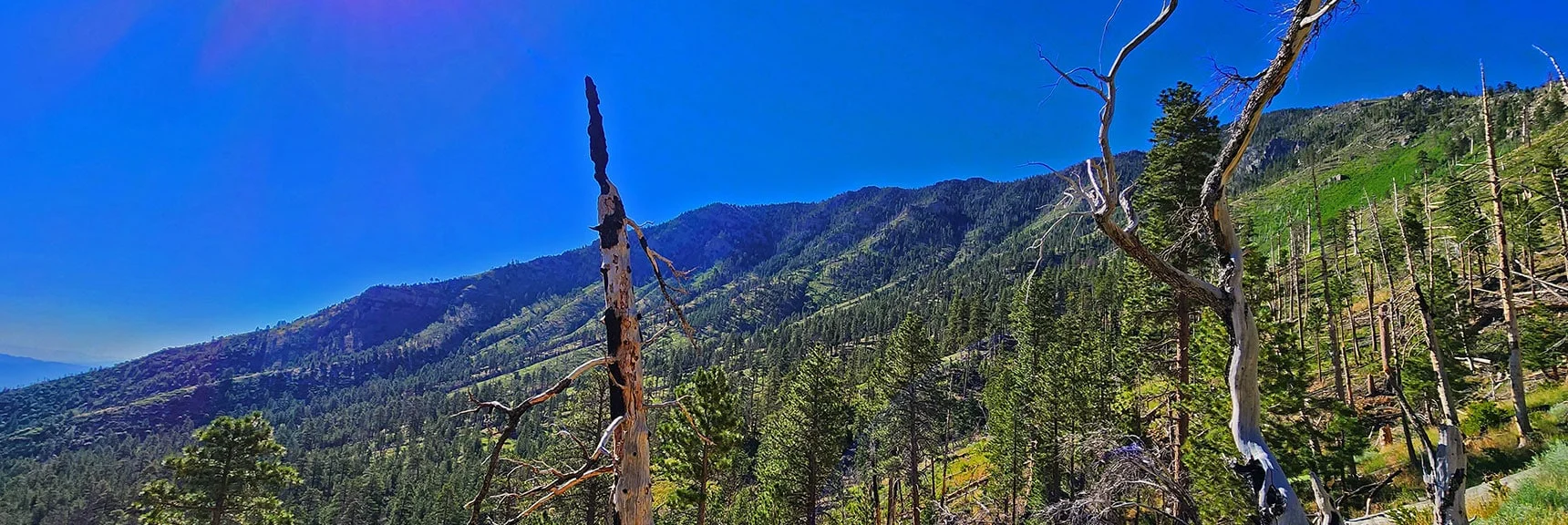 View Across to Eastern Approach Ridge. Harris Mt. is the Summit Where Both Ridges Meet. | Fletcher Canyon to Harris Mountain Summit | Mt Charleston Wilderness, Nevada
