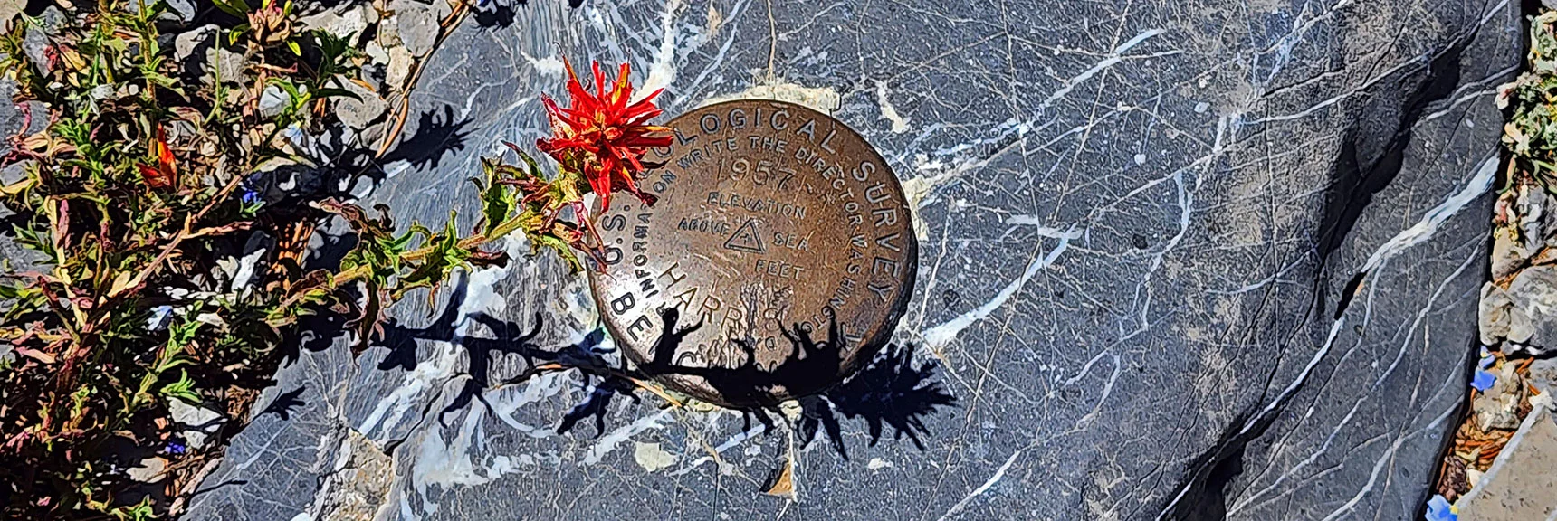 Geological Survey Marker on Harris Mt. Summit. | Fletcher Canyon to Harris Mountain Summit | Mt Charleston Wilderness, Nevada