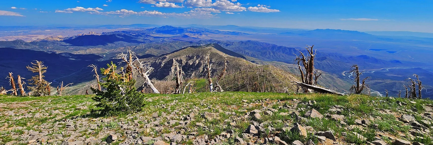 Griffith Peak Summit View Down Sexton Ridge. | Fletcher Canyon Trailhead to Harris Mountain Summit to Griffith Peak Summit Circuit Adventure | Mt. Charleston Wilderness, Nevada