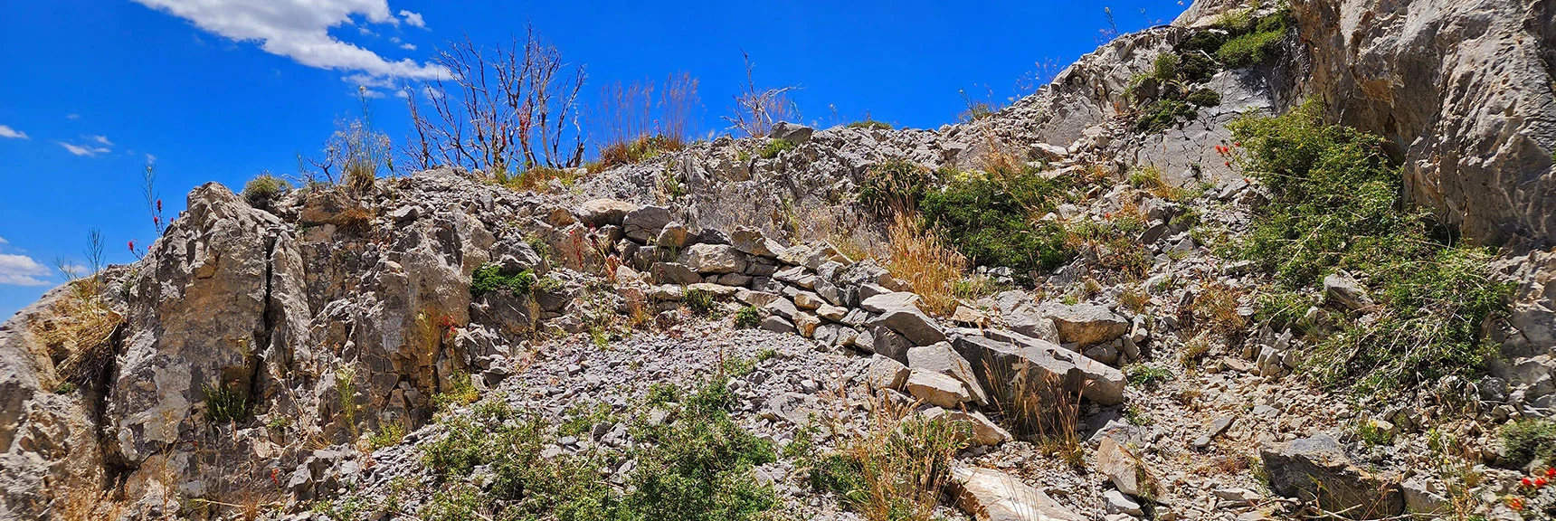 A Lot of Work Went into the Construction of This Cliff Bypass Trail | Fletcher Canyon Trailhead to Harris Mountain Summit to Griffith Peak Summit Circuit Adventure | Mt. Charleston Wilderness, Nevada