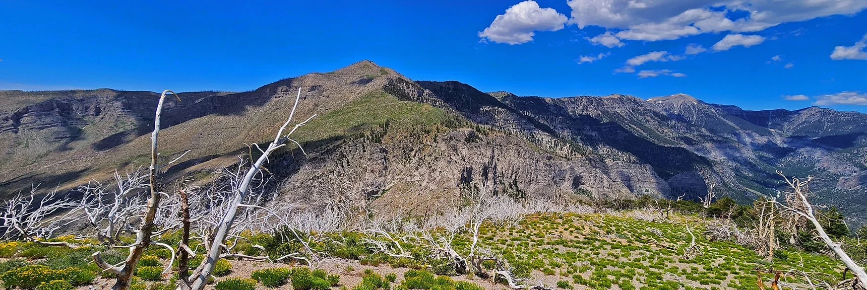 Descending Harris/Griffith Saddle. Back-Wilderness Griffith Peak Trail Will Guide Through Cliffs. | Fletcher Canyon Trailhead to Harris Mountain Summit to Griffith Peak Summit Circuit Adventure | Mt. Charleston Wilderness, Nevada