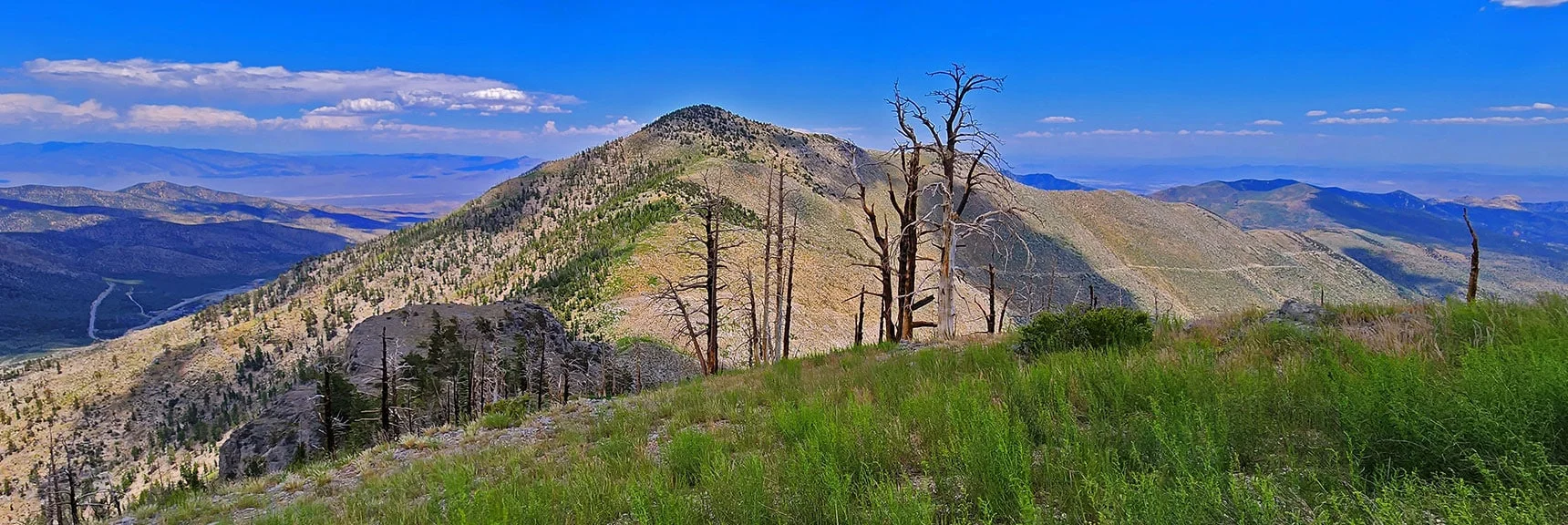 View Back to Harris Mountain. Note Where the Griffith Peak Trail Begins Lower on Wilson Ridge. | Fletcher Canyon Trailhead to Harris Mountain Summit to Griffith Peak Summit Circuit Adventure | Mt. Charleston Wilderness, Nevada