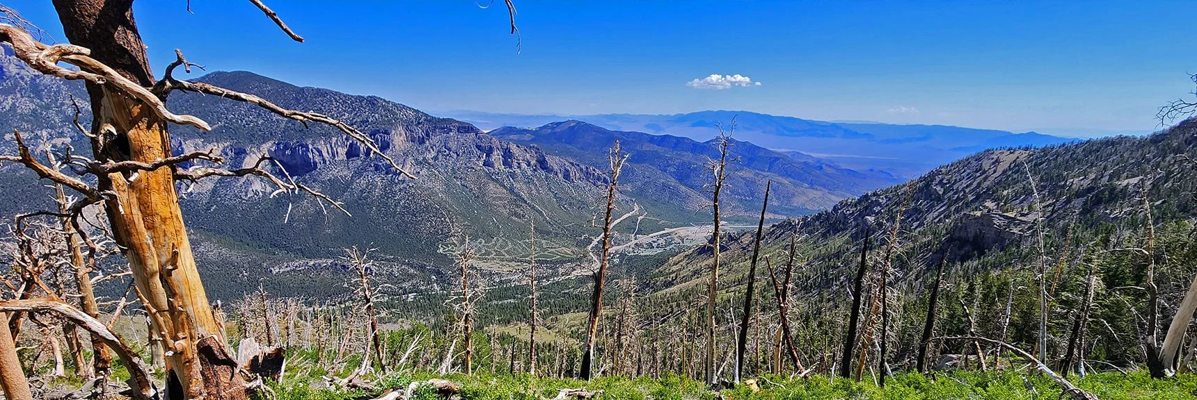 Fletcher Peak, Angel Peak, Sheep Range, View Down Kyle Canyon Through Burn Area | Fletcher Canyon Trailhead to Harris Mountain Summit to Griffith Peak Summit Circuit Adventure | Mt. Charleston Wilderness, Nevada