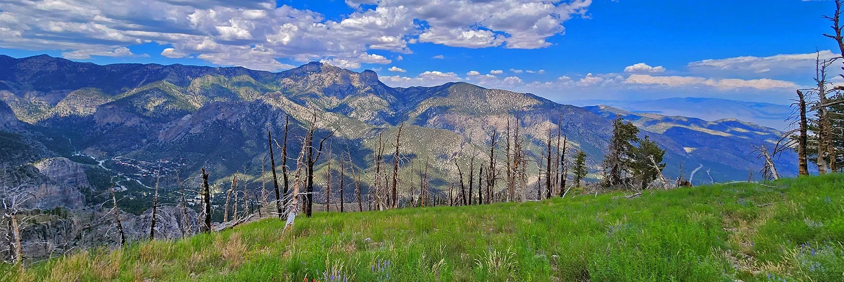 Yes, This is a View of the Trail Winding Around the Ridge. Now All But Invisible. | Fletcher Canyon Trailhead to Harris Mountain Summit to Griffith Peak Summit Circuit Adventure | Mt. Charleston Wilderness, Nevada