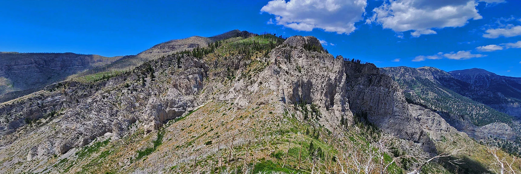 Cliffs Above Saddle Guard Griffith Peak Ascent Ridge | Fletcher Canyon Trailhead to Harris Mountain Summit to Griffith Peak Summit Circuit Adventure | Mt. Charleston Wilderness, Nevada