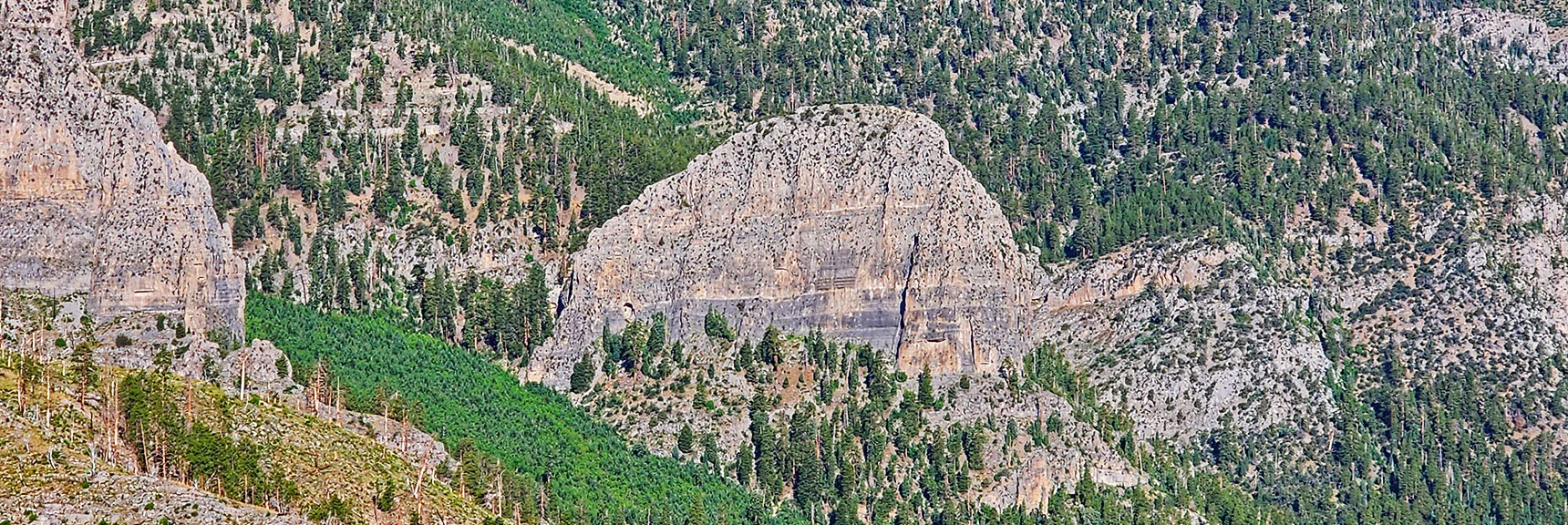Arrival on Center of Western Approach Ridge, View Down to Cathedral Rock | Fletcher Canyon Trailhead to Harris Mountain Summit to Griffith Peak Summit Circuit Adventure | Mt. Charleston Wilderness, Nevada
