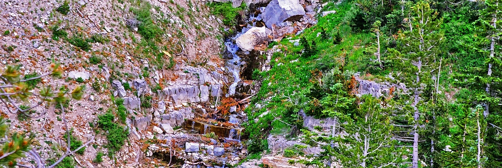 Falls Begin to Level Out into Beautiful Rapids Lower in Gully. | Fletcher Canyon Trailhead to Harris Mountain Summit to Griffith Peak Summit Circuit Adventure | Mt. Charleston Wilderness, Nevada