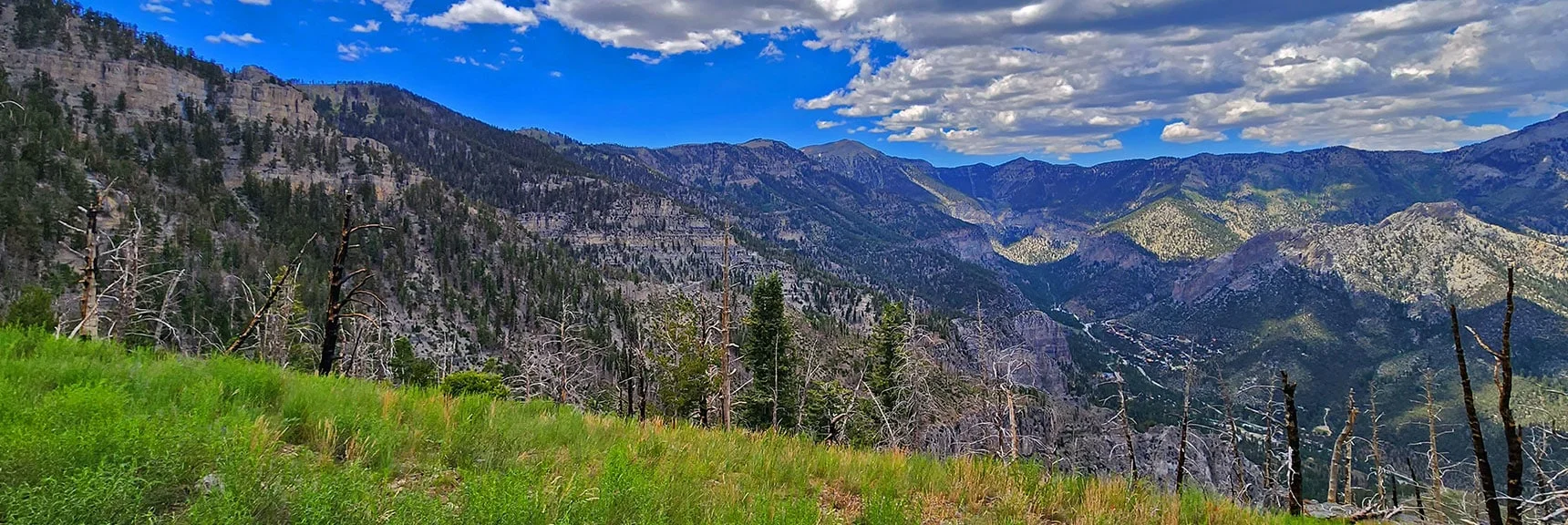 This Stretch Winds Around the West Side of the Ridge Before Crossing Again to the East Side. | Fletcher Canyon Trailhead to Harris Mountain Summit to Griffith Peak Summit Circuit Adventure | Mt. Charleston Wilderness, Nevada