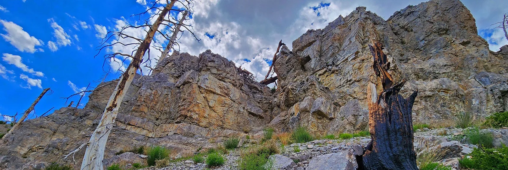 Trail Narrowly Bypasses a Few Rocky Bluffs on the Ridge. Note Fallen Trees Spanning Cliffs Above. | Fletcher Canyon Trailhead to Harris Mountain Summit to Griffith Peak Summit Circuit Adventure | Mt. Charleston Wilderness, Nevada