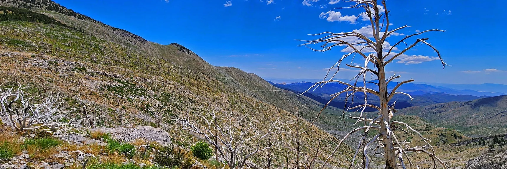 View Down Wilson Ridge and Lovell Canyon. Note Line of Griffith Peak Trail Below Ridgetop. | Fletcher Canyon Trailhead to Harris Mountain Summit to Griffith Peak Summit Circuit Adventure | Mt. Charleston Wilderness, Nevada