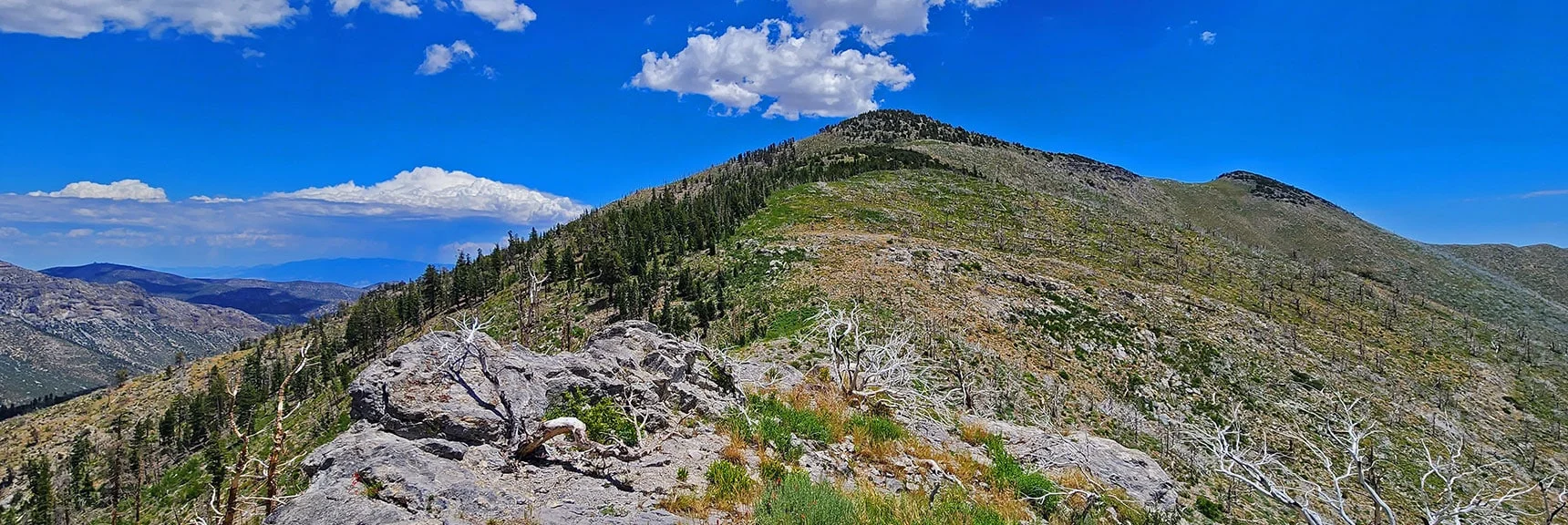 View from Cliff Face Back to Harris Mountain with Wilson Ridge Descending to Right (South) | Fletcher Canyon Trailhead to Harris Mountain Summit to Griffith Peak Summit Circuit Adventure | Mt. Charleston Wilderness, Nevada