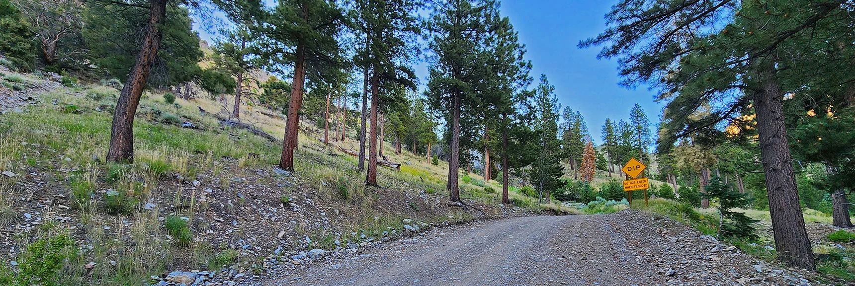 Rainbow Ridge Road, Other Side of Western Ridge, Ascend Ridge at Dip Sign | Fletcher Canyon Trailhead to Harris Mountain Summit to Griffith Peak Summit Circuit Adventure | Mt. Charleston Wilderness, Nevada