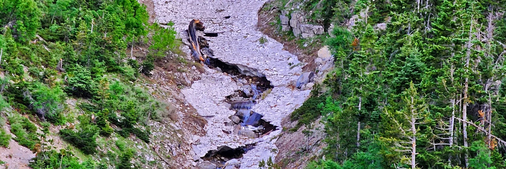 Streams Carve a Path Through and Beneath the Snowfield. | Fletcher Canyon Trailhead to Harris Mountain Summit to Griffith Peak Summit Circuit Adventure | Mt. Charleston Wilderness, Nevada