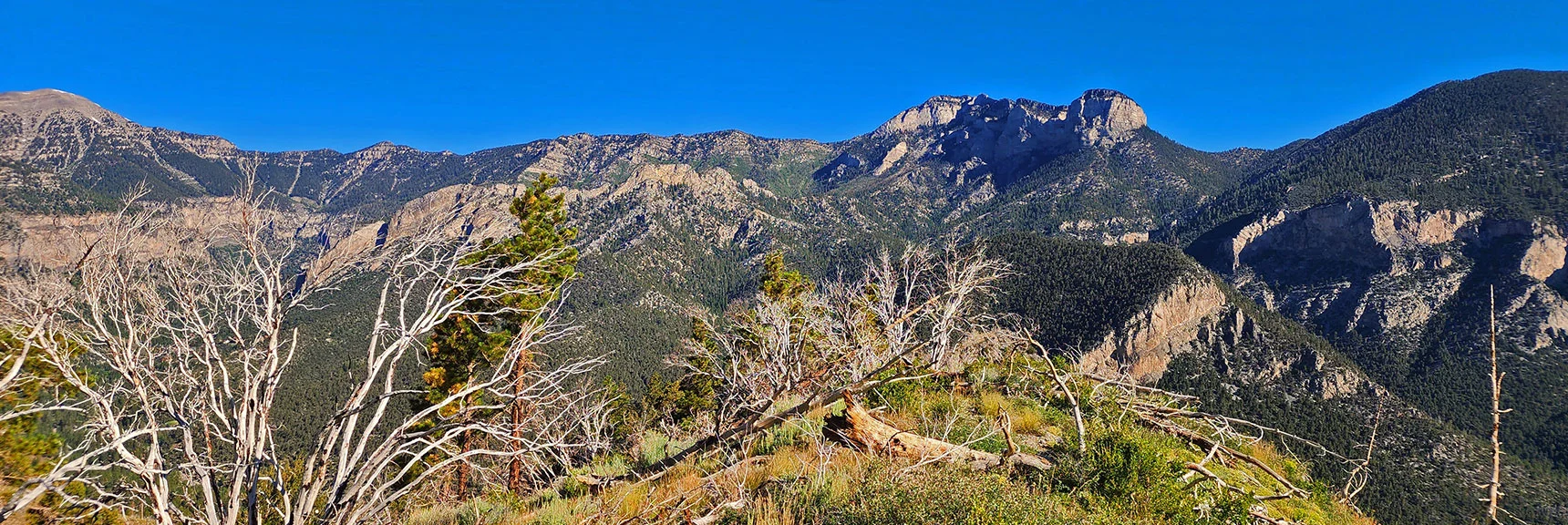View Along Ridge Spine Toward Mummy Mt, Fletcher Peak and Kyle Canyon North Rim | Fletcher Canyon Trailhead to Harris Mountain Summit to Griffith Peak Summit Circuit Adventure | Mt. Charleston Wilderness, Nevada