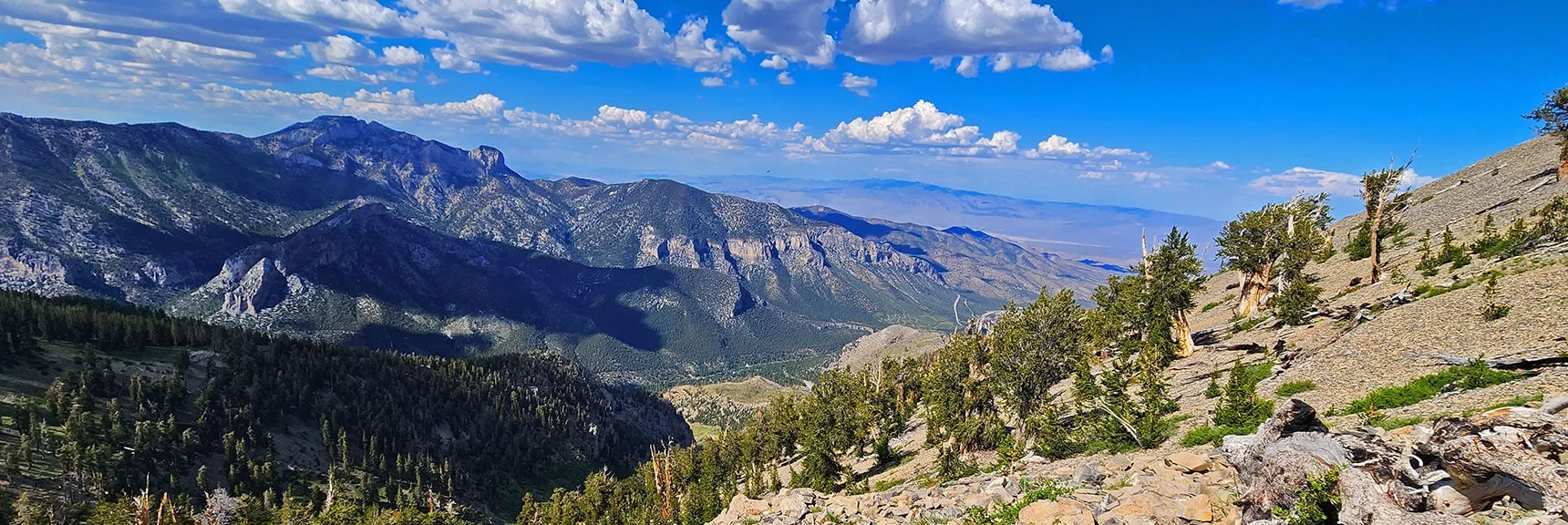 Mummy Mt., Fletcher Peak, Kyle Canyon, Sheep Range (background) from Griffith Peak Summit. | Fletcher Canyon Trailhead to Harris Mountain Summit to Griffith Peak Summit Circuit Adventure | Mt. Charleston Wilderness, Nevada