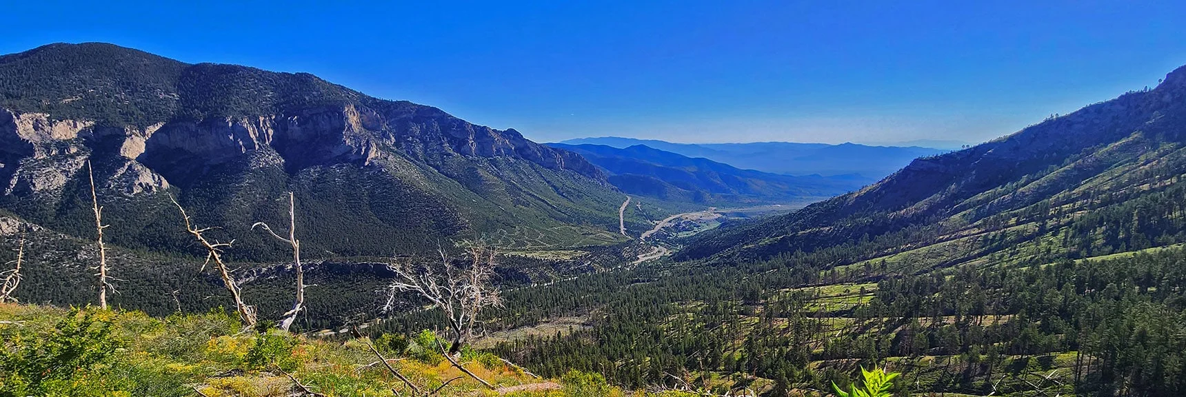 East Side View Over Ridgetop Down Kyle Canyon | Fletcher Canyon Trailhead to Harris Mountain Summit to Griffith Peak Summit Circuit Adventure | Mt. Charleston Wilderness, Nevada