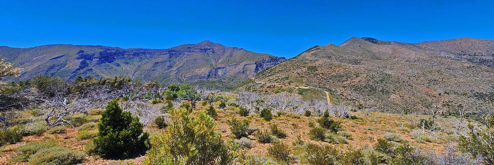 Approaching Harris Mt. Rd. Crossing, Griffith Peak Back Wilderness Trailhead | Wilson Ridge / Sexton Ridge Circuit | Lovell Canyon, Nevada