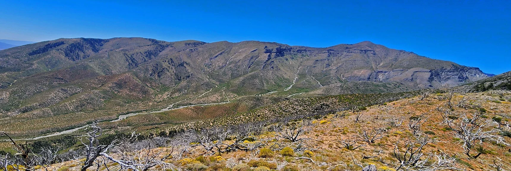 View Across to Griffith Peak & Sexton Ridgeline: Later Descent Route. | Wilson Ridge / Sexton Ridge Circuit | Lovell Canyon, Nevada