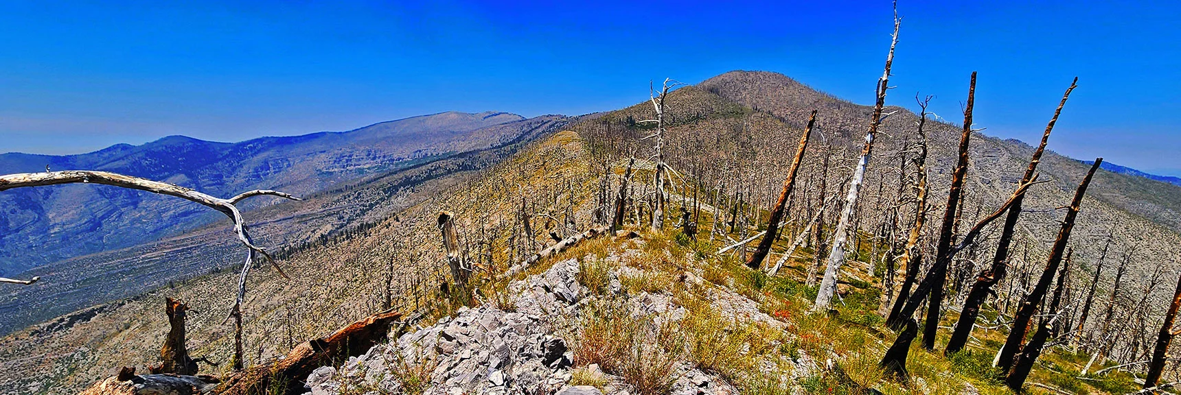 View Back Up 2 Huge Sexton Ridge Hills Toward Griffith Peak | Wilson Ridge / Sexton Ridge Circuit | Lovell Canyon, Nevada