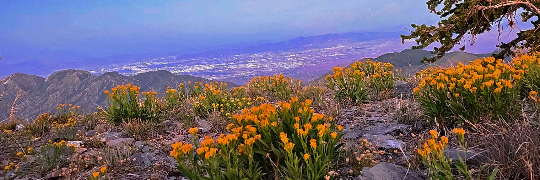 Evening Lights Appearing in Vegas Valley Below | Wilson Ridge / Sexton Ridge Circuit | Lovell Canyon, Nevada