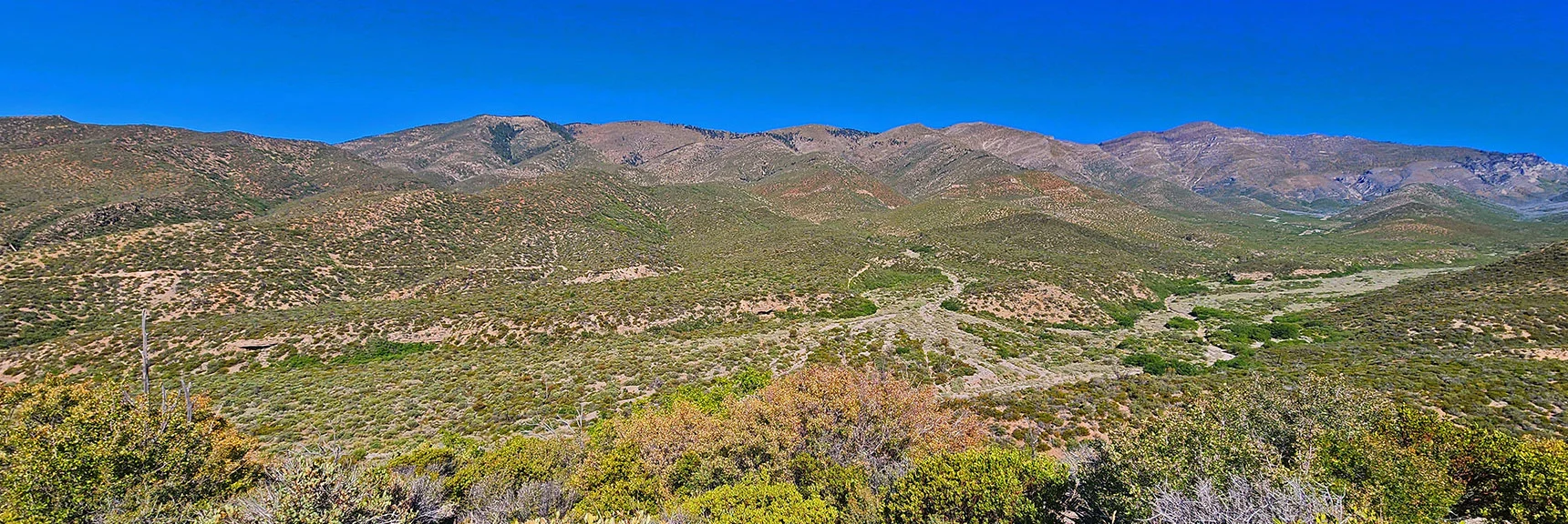 Full View of Sexton Ridge Descending to Left of Griffith Peak Across Canyon | Wilson Ridge / Sexton Ridge Circuit | Lovell Canyon, Nevada