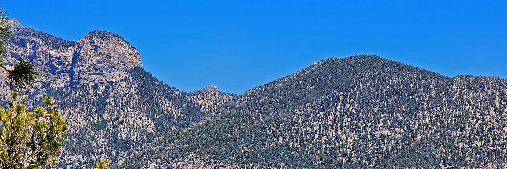 Mummy's Head Now Appears Beyond Mummy Mt./Fletcher Peak Saddle. | Fletcher View Ridge | Mt Charleston Wilderness, Nevada