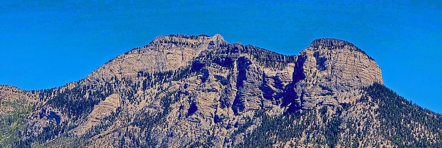 Mummy Mountain from Fletcher View Ridge | Fletcher View Ridge | Mt Charleston Wilderness, Nevada