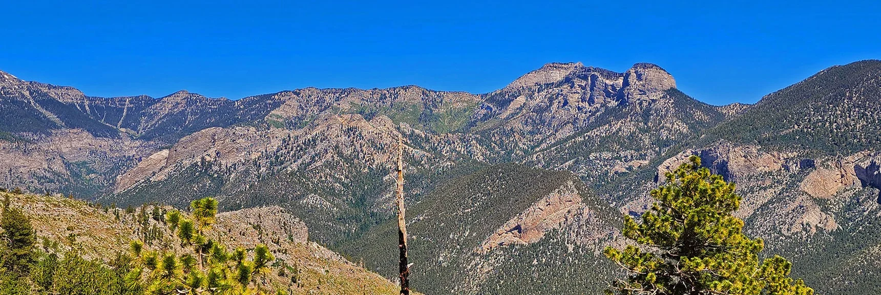 Kyle Canyon North Rim to Mummy Mountain & Fletcher Peak | Fletcher View Ridge | Mt Charleston Wilderness, Nevada