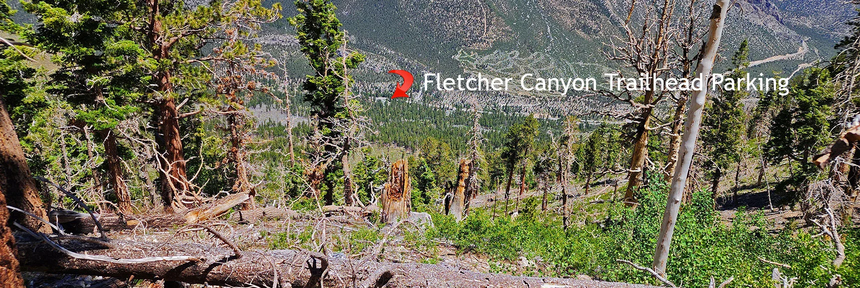 View from a Ridge High Point Down to Fletcher Canyon Trailhead Parking 2,000ft. Below | Fletcher View Ridge | Mt Charleston Wilderness, Nevada