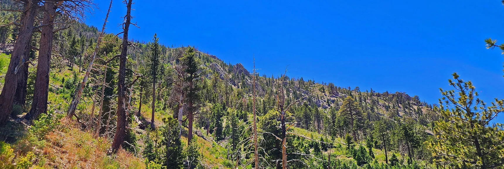 Harris Mountain West Approach Ridge | Fletcher View Ridge | Mt Charleston Wilderness, Nevada