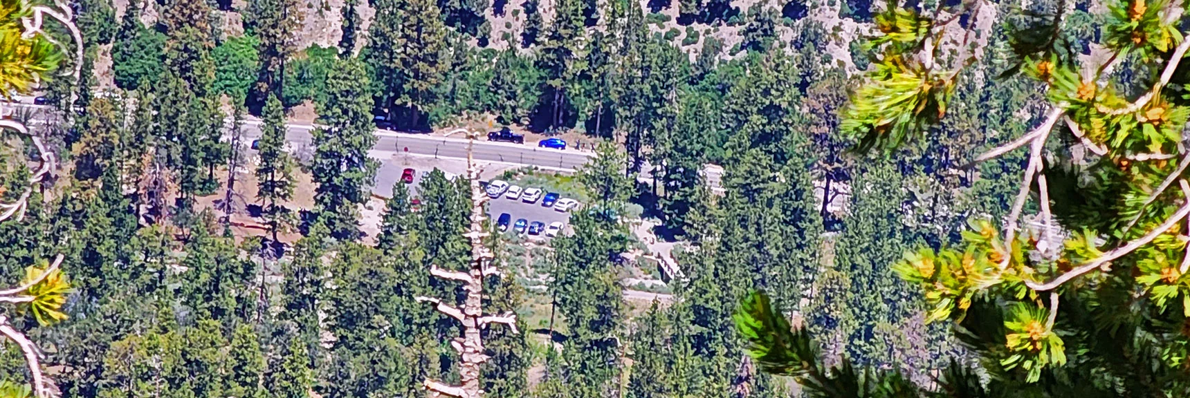 Fletcher Canyon Trailhead Parking Area 2,000ft Below High Point on Ridge | Fletcher View Ridge | Mt Charleston Wilderness, Nevada
