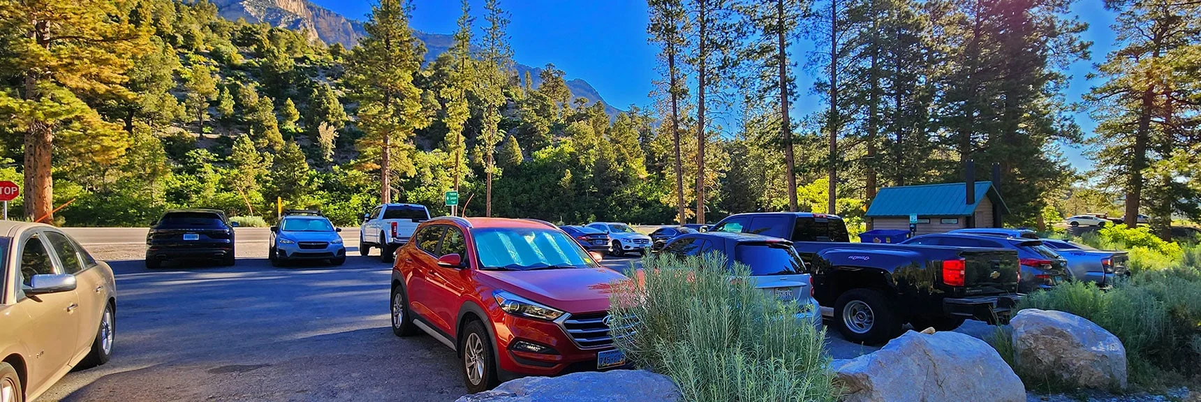 Fletcher Canyon Trailhead Parking Area | Fletcher View Ridge | Mt Charleston Wilderness, Nevada