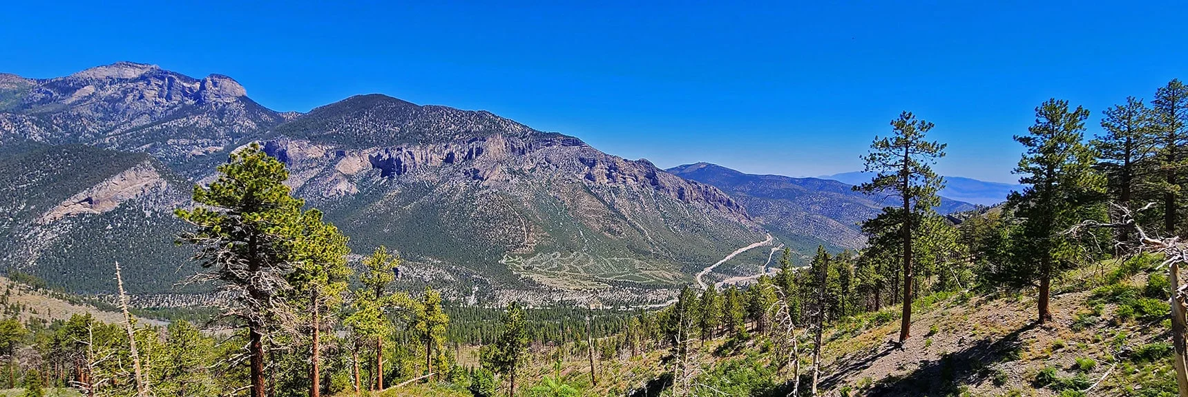 Eagle's Nest Loop at Fletcher Peak Base. Angel Peak to the Right. | Fletcher View Ridge | Mt Charleston Wilderness, Nevada