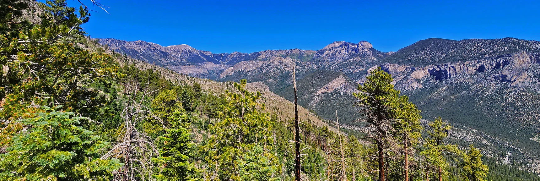 Large View of Charleston Loop Trail Between Charleston and Fletcher Peaks. | Fletcher View Ridge | Mt Charleston Wilderness, Nevada