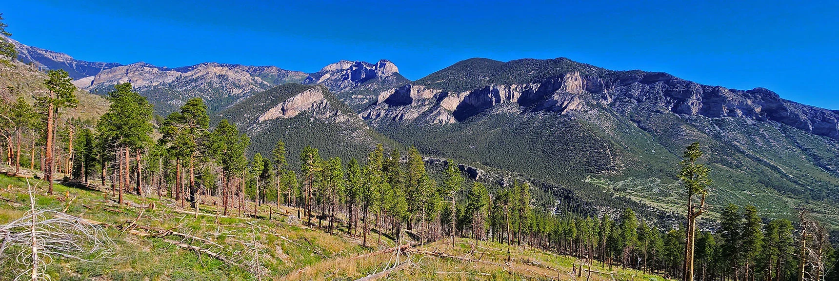 Turn Often to See Expanding Views Opening Behind You. Fletcher Peak, Fletcher Canyon, Mummy Mt Pictured. | Fletcher View Ridge | Mt Charleston Wilderness, Nevada