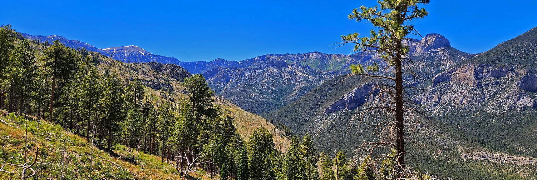 Harris Mt. Lower Western Approach Ridge. Cockscomb Ridge Seen Beyond | Fletcher View Ridge | Mt Charleston Wilderness, Nevada
