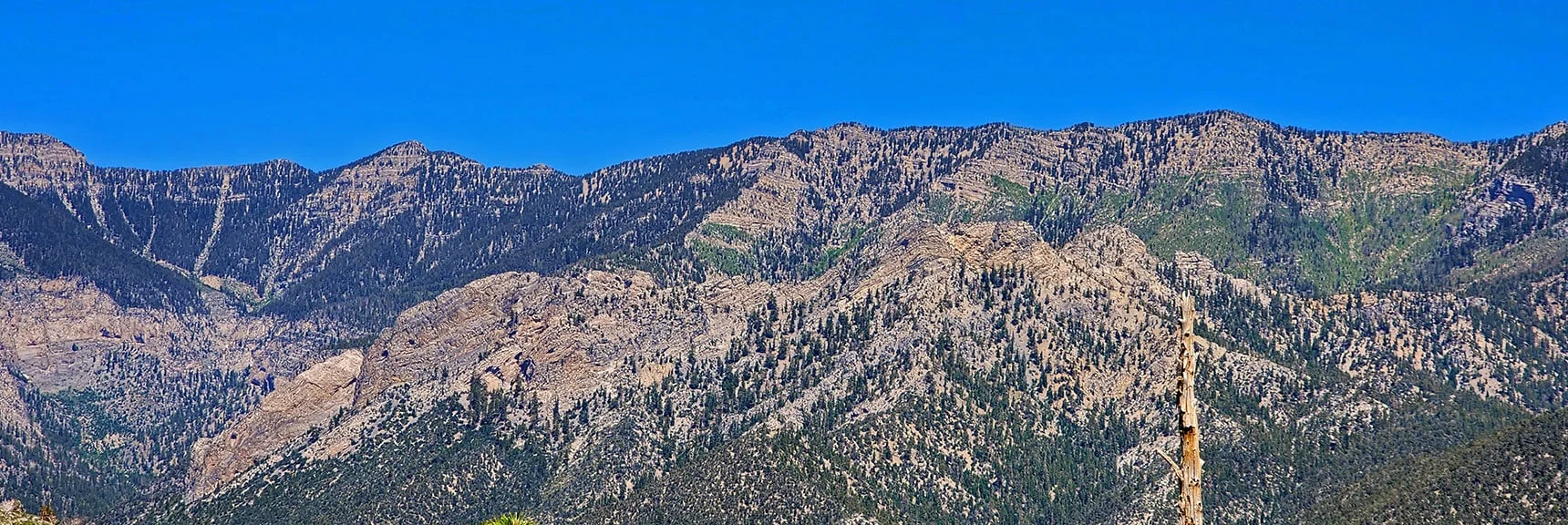 Kyle Canyon North Ridge Between Lee Peak and Mummy Mountain. | Fletcher View Ridge | Mt Charleston Wilderness, Nevada