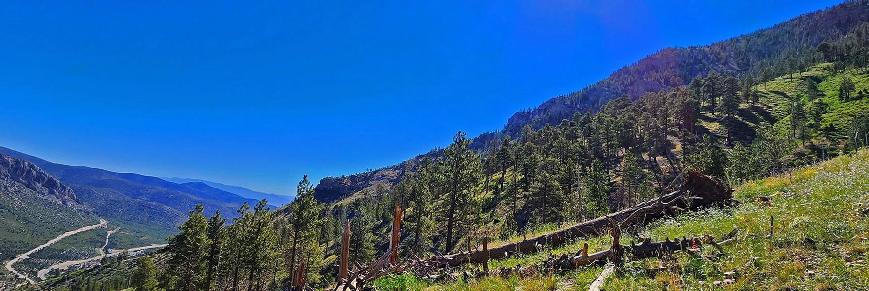 Harris Mt. Lower East Approach Ridge | Fletcher View Ridge | Mt Charleston Wilderness, Nevada