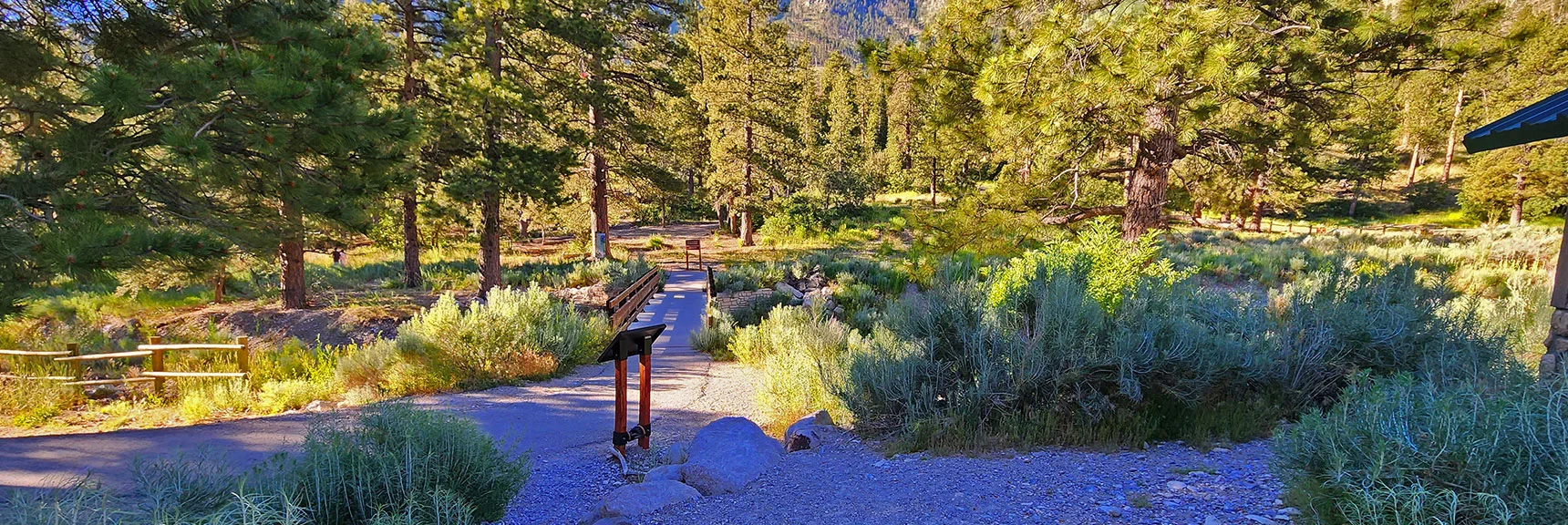 Cross Bridge Behind Restroom, Then Continue Straight vs. Turning on Pathway | Fletcher View Ridge | Mt Charleston Wilderness, Nevada