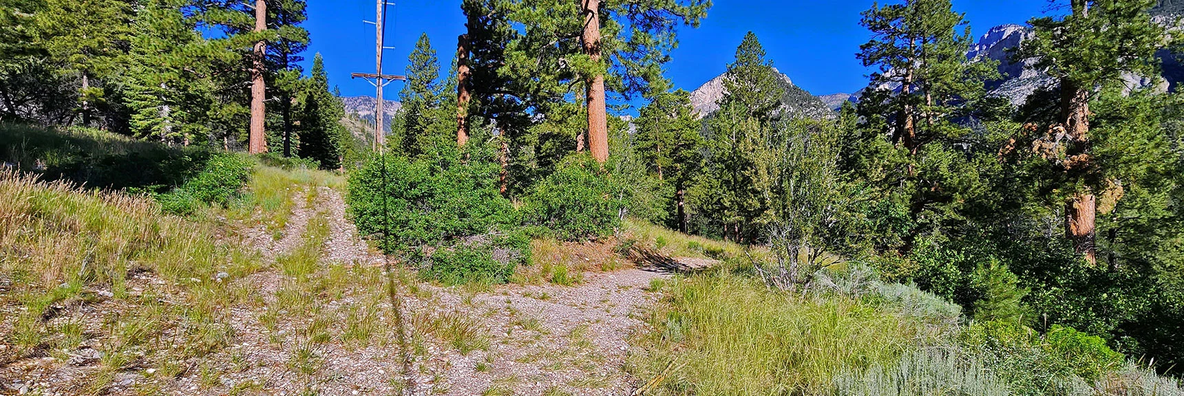 Nice Trail/Maintenance Road Leads Beyond Bridge. Turn Right at Power Lines. | Fletcher View Ridge | Mt Charleston Wilderness, Nevada