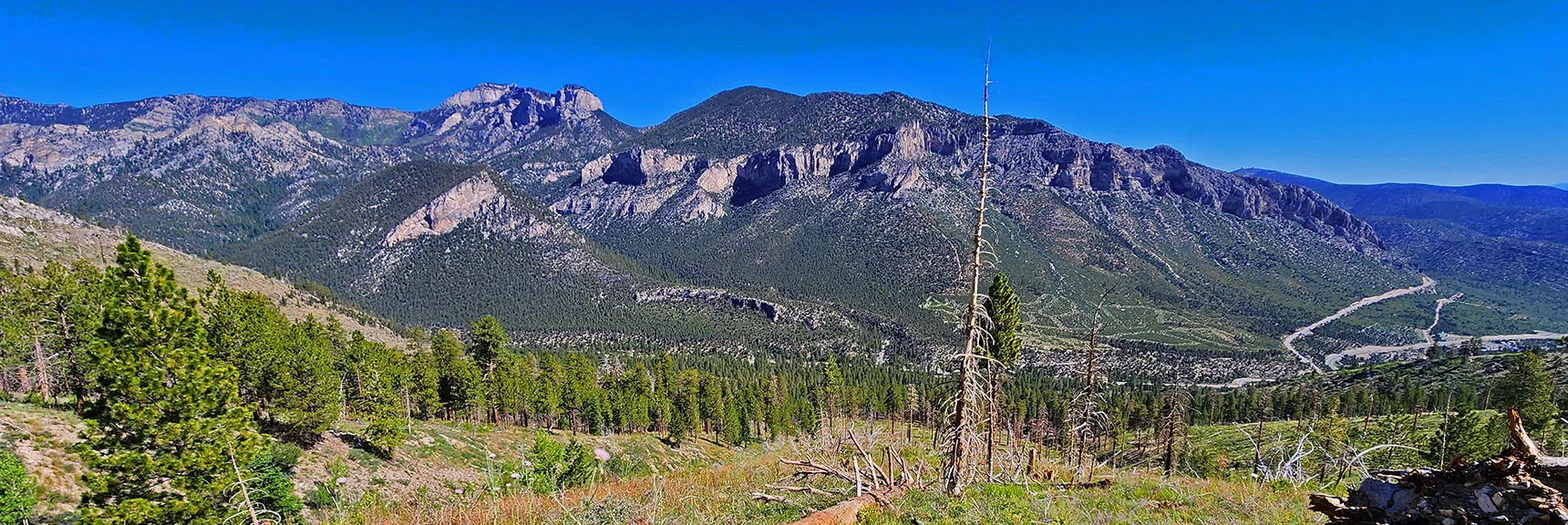 You Can Trace Fletcher Canyon All the Way to Fletcher Peak Summit | Fletcher View Ridge | Mt Charleston Wilderness, Nevada