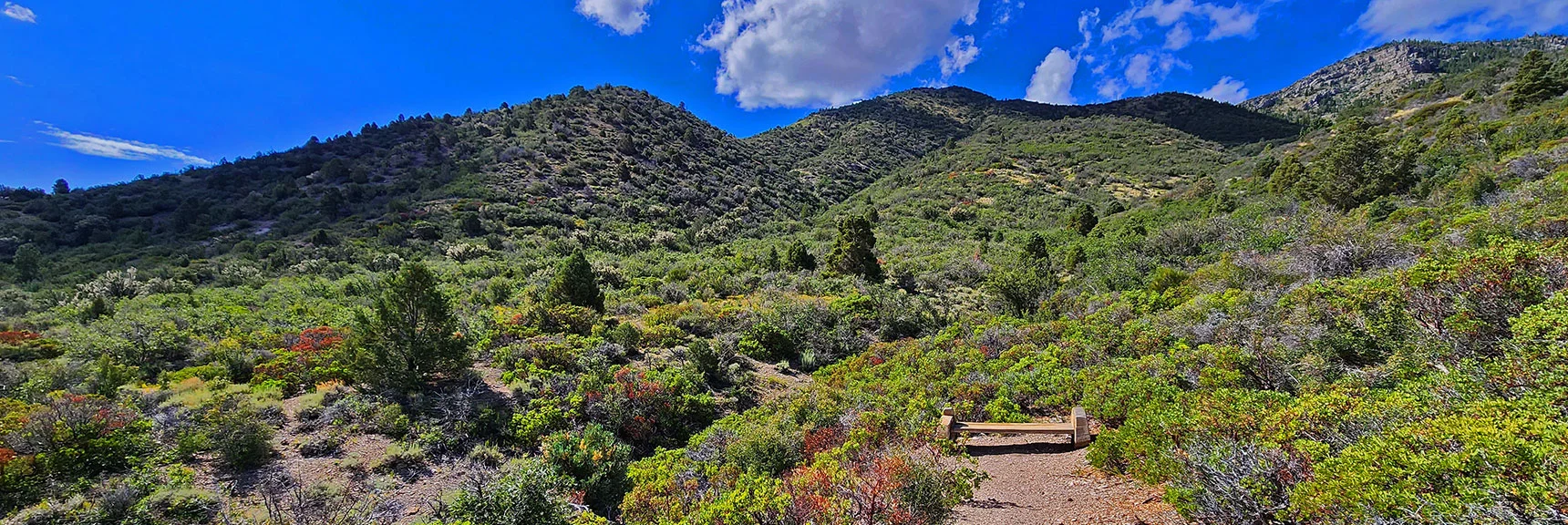 Access Point to Long Eastern Approach Ridge at East End of Escarpment Trail | Harris Mountain Triangle | Mt Charleston Wilderness, Nevada