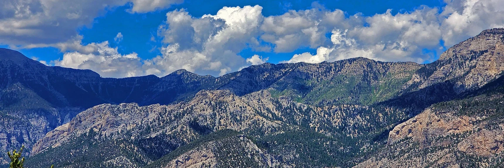 Upper Kyle Canyon. Cockscomb Ridge Foreground, Charleston Loop High Points Above | Harris Mountain Triangle | Mt Charleston Wilderness, Nevada