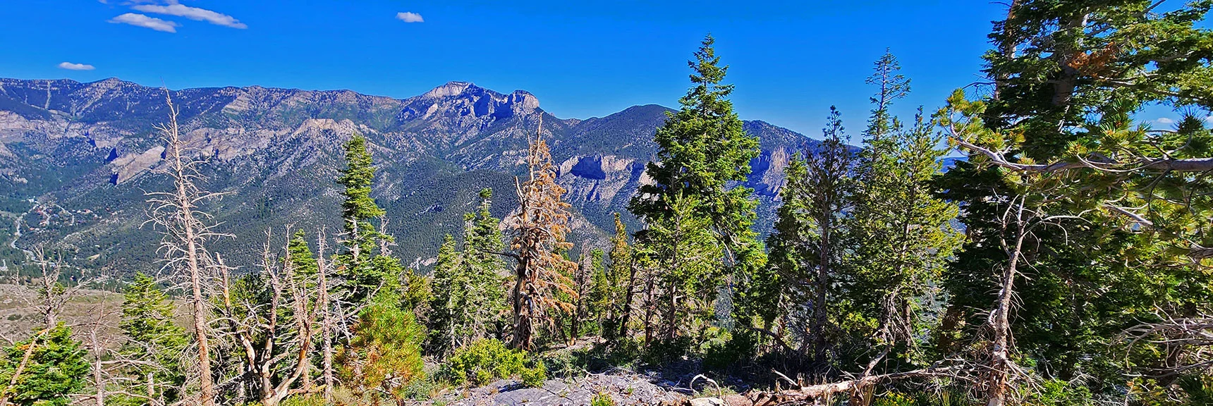 Prior Image of Ponderosa Pine Stretch. Loosing Daylight Today. | Harris Mountain Triangle | Mt Charleston Wilderness, Nevada